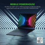 Razer Blade 15 Advanced Model (2021) H4