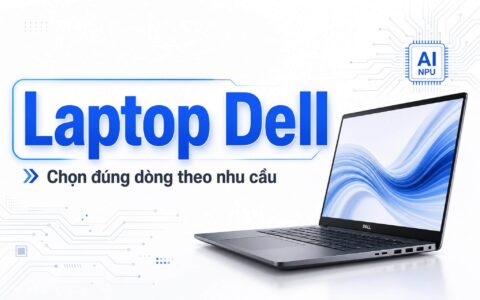 Buying Dell Laptops In Ho Chi Minh City: Should You Choose Inspiron, Latitude, Xps, Or Precision?